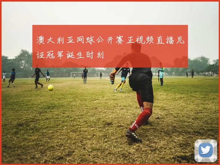 澳大利亚网球公开赛正视频直播见证冠军诞生时刻