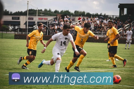 华体会体育发展历程